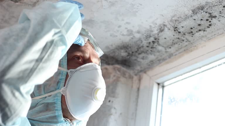 Mold Remediation for Vacation Homes in Stockton, UT